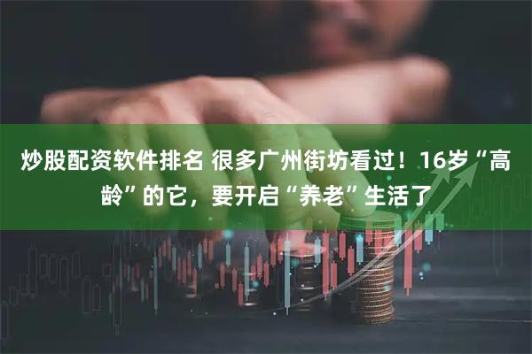 炒股配资软件排名 很多广州街坊看过！16岁“高龄”的它，要开启“养老”生活了