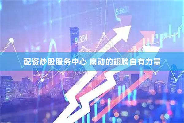 配资炒股服务中心 扇动的翅膀自有力量