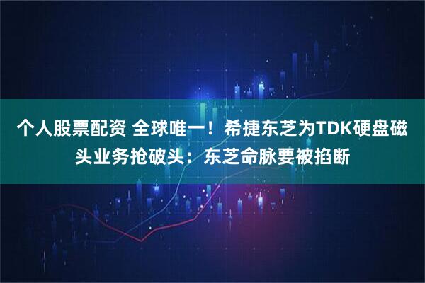 个人股票配资 全球唯一！希捷东芝为TDK硬盘磁头业务抢破头：东芝命脉要被掐断